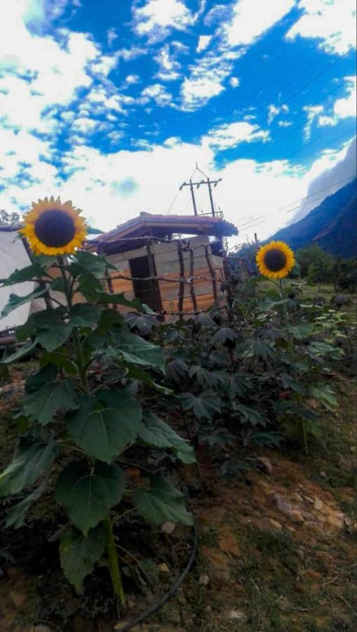 Hostal Las Valkirias Matanza Exterior photo